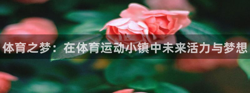 米兰体育官方正版app科技：体育之梦：在体育运动小镇中未来活