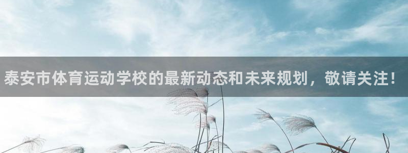 米兰体育官方正版app官网