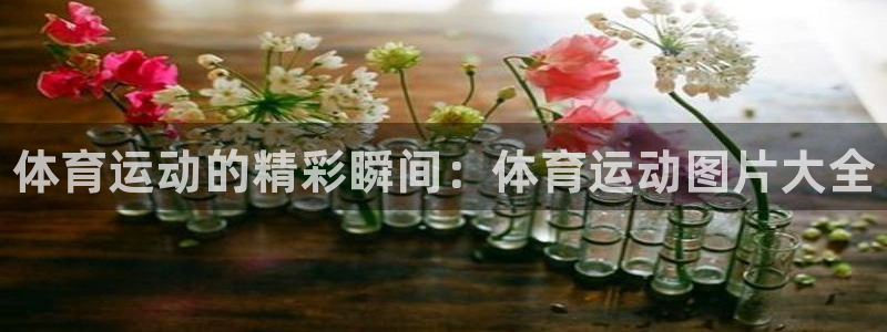 米兰体育官网下载平台是正规平台吗