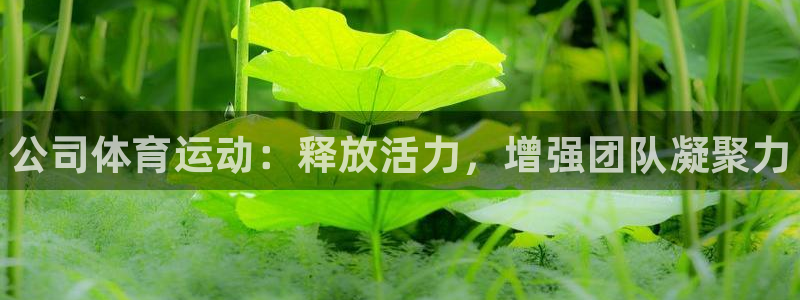 米兰体育官方集团官网
