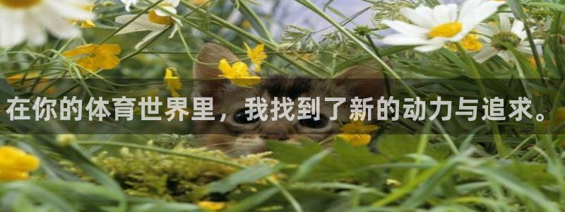 米兰体育官网下载平台假的吗是真的吗