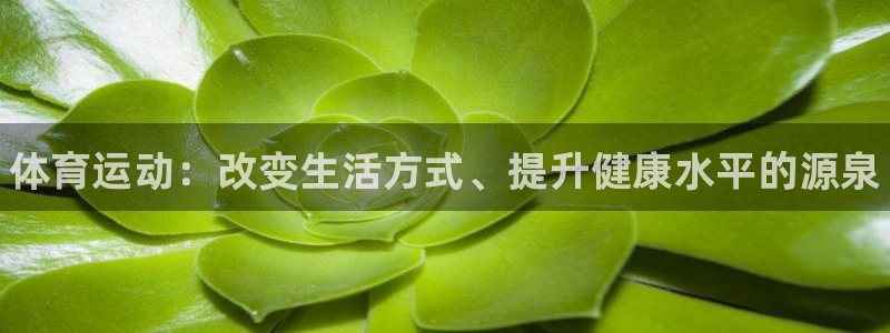 米兰体育官网下载招商电话号码查询是多少