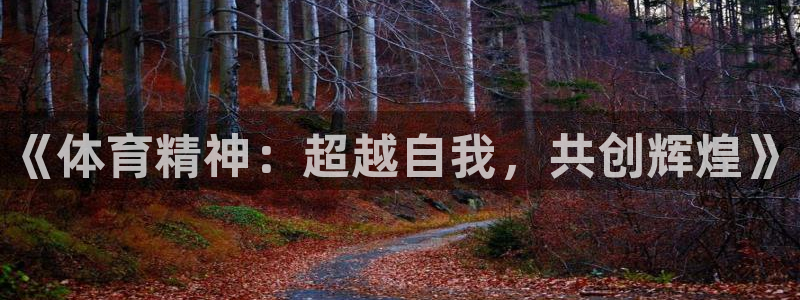 米兰体育官方正版app娱乐