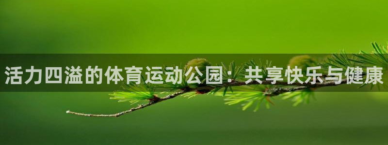 米兰体育官方正版app官方：活力四溢的体育运动公园：共享快乐