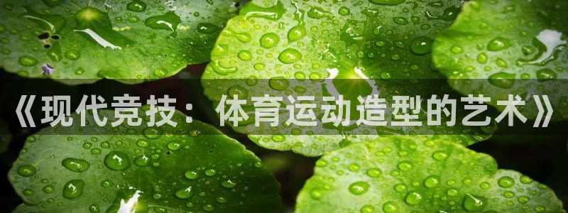 米兰体育官方正版app神州：《现代竞技：体育运动造型的艺术》