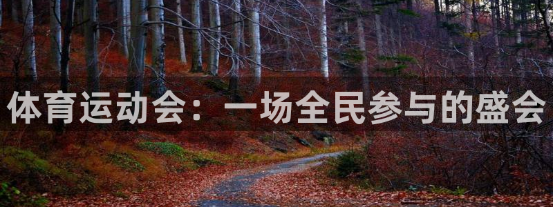 米兰体育官网下载开户：体育运动会：一场全民参与的盛会