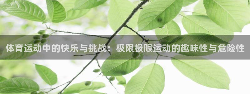 米兰体育官网下载官方客服电话