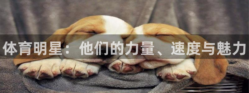 米兰体育官网下载招商电话是多少啊：体育明星：他们的力量、速度