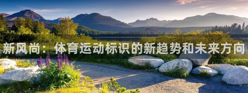 米兰体育官网下载平台假的吗是真的吗吗：新风尚：体育运动标识的