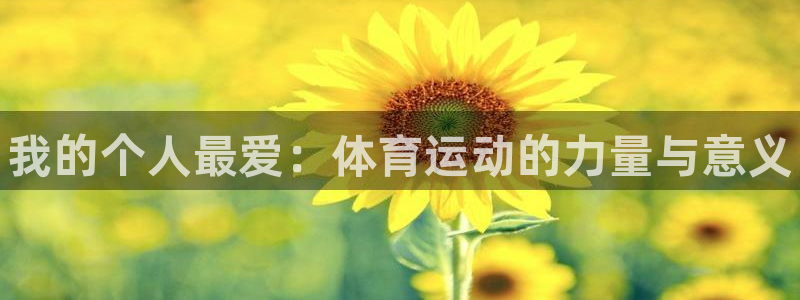 米兰体育官方正版app代理：我的个人最爱：体育运动的