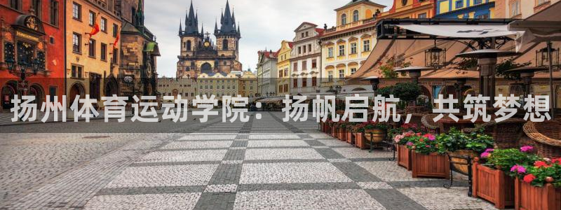 米兰体育官网下载平台注册要钱吗安全吗：扬州体育运动学