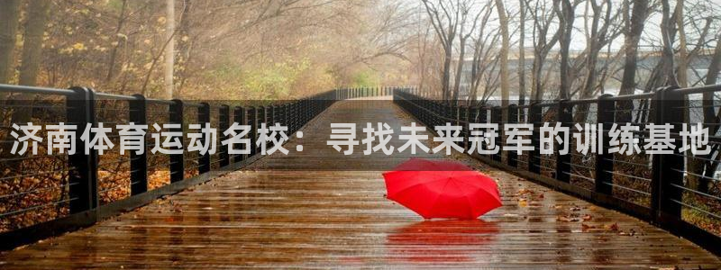 米兰体育官网下载平台是正规平台吗安全吗：济南体育运动