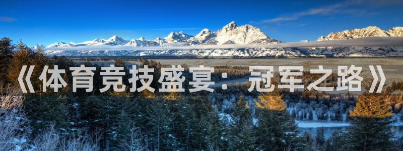 米兰体育官网下载平台APP：《体育竞技盛宴：冠军之路》