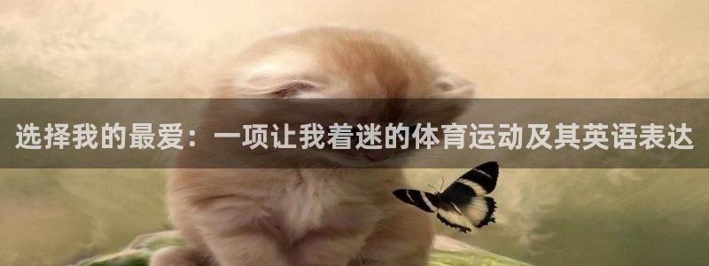 米兰体育官方正版app集团简介：选择我的最爱：一项让我着迷的
