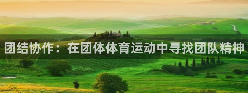 米兰体育官方平台体育